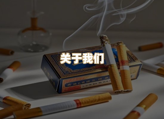 关于蓝帝网